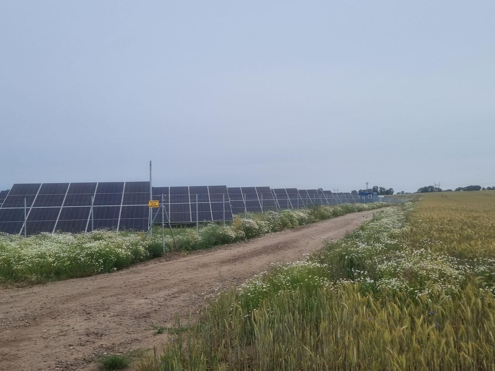 Projekt fotowoltaiczny Goleniów - zdjęcie 2